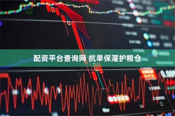 配资平台查询网 抗旱保灌护粮仓